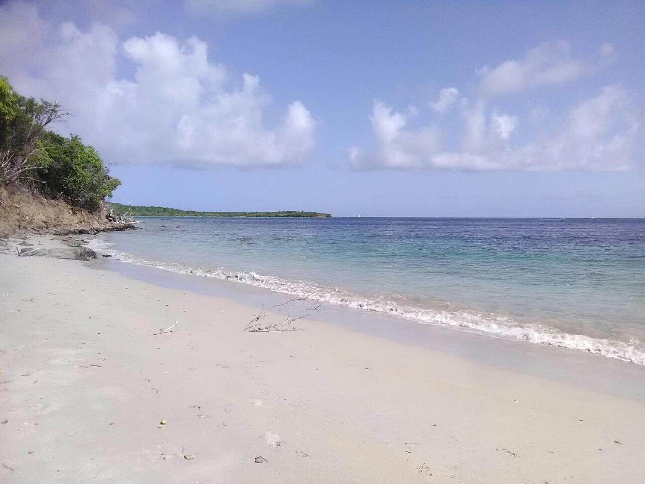 Villa Bougainvillier Les Trois-Ilets Bagian luar foto